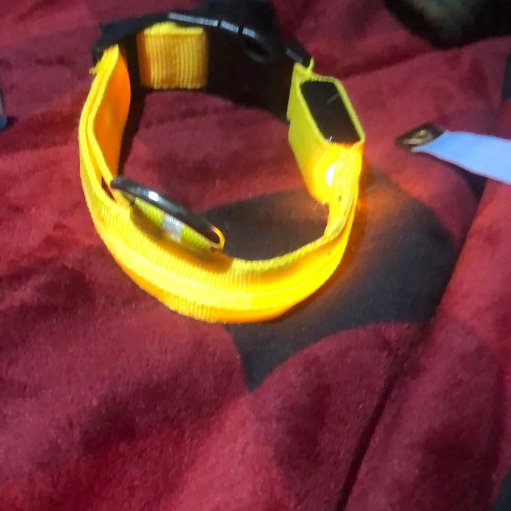 🛍Light‎ up Dog collar with ring.